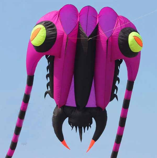 Trilobite shape kite - ChinaArtlover